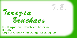 terezia bruchacs business card